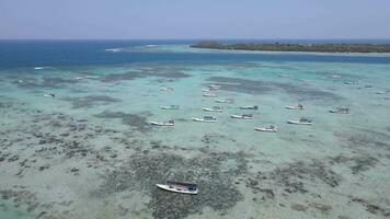 oben Aussicht oder Antenne Aussicht von schön klar Wasser und Weiß Strand mit Fischers Boote auf Sommer- tropisch Insel namens karimunjawa im jepara, Indonesien. video