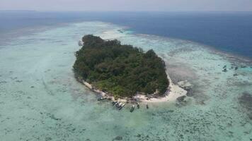 Antenne Aussicht von Fernbedienung Insel im karimunjawa Inseln, jepara, Indonesien. Koralle Riffe, Weiß Sand Strände. oben Tourist Ziel, Beste Tauchen Schnorcheln. video