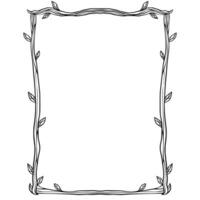 Frames Border Design Ornament vector