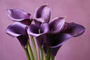 ai generado ramo de flores de púrpura calla lirios en contra púrpura fondo.ai generado foto