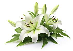 AI generated Beautiful fresh lily flower with green leaves, isolated on white background. AI Generated photo