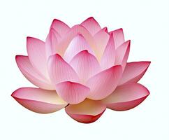 AI generated Lotus flower on white background. AI Generated photo