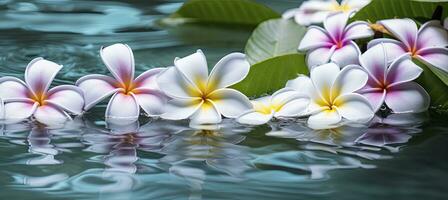 ai generado plumeria flores en verde hoja flotante en agua. un pacífico y sereno escena con un toque de naturaleza y belleza. ai generado foto