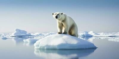 AI generated Polar bear on ice floe. Melting iceberg and global warming. AI Generated photo