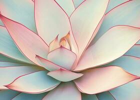 AI generated Agave leaves in trendy pastel colors for design backgrounds. AI Generated photo