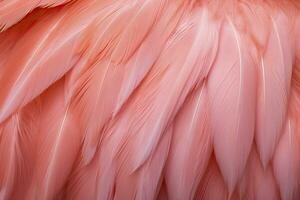 AI generated Flamingo Feather background. AI Generated photo