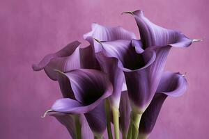 AI generated Bouquet of purple calla lilies against purple background.AI Generated photo