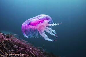 AI generated Mauve stinger purple jellyfish. AI Generated. photo