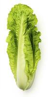 AI generated Lettuce isolated on white background. AI Generated photo