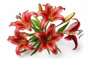 AI generated Red Lilies isolated on white background. AI Generated photo