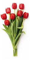 AI generated Red tulips isolated on white background. AI Generated photo