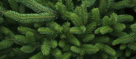 ai generado Navidad árbol ramas en un natural antecedentes. ai generado foto