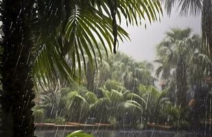 ai generado lluvia en el zona tropical durante el bajo temporada o monzón estación. gotas de lluvia en un jardín. generativo ai foto