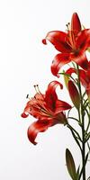 AI generated Red Lilies isolated on white background. AI Generated photo