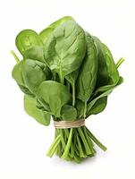 AI generated Bunch of spinach isolated on white background. AI Generated photo