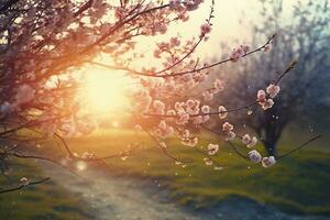 AI generated Spring blossom background. Nature scene with blooming tree and sun flare. Generative AI photo
