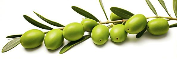 AI generated Olive tree branch, green olives and leaves on white background. AI Generated. photo