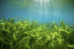 AI generated Underwater view of a group of seabed with green seagrass. AI Generated photo