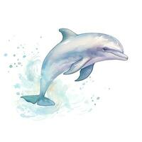 AI generated Watercolor fantasy Baby Dolphin clip art isolated white background. AI Generated photo