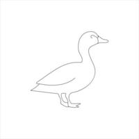 A duck Continuous single line drawing vector illustration. Continuous outline of Animal bird icon.