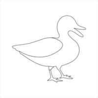 A duck Continuous single line drawing vector illustration. Continuous outline of Animal bird icon.