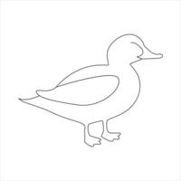 A duck Continuous single line drawing vector illustration. Continuous outline of Animal bird icon.