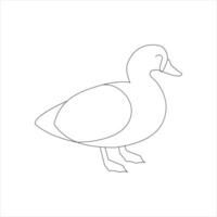 A duck Continuous single line drawing vector illustration. Continuous outline of Animal bird icon.