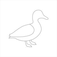 A duck Continuous single line drawing vector illustration. Continuous outline of Animal bird icon.