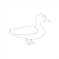 A duck Continuous single line drawing vector illustration. Continuous outline of Animal bird icon.