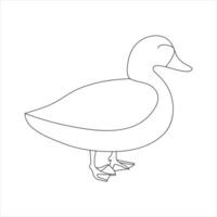 A duck Continuous single line drawing vector illustration. Continuous outline of Animal bird icon.