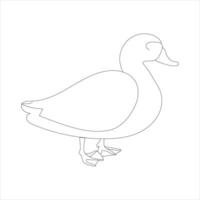 A duck Continuous single line drawing vector illustration. Continuous outline of Animal bird icon.