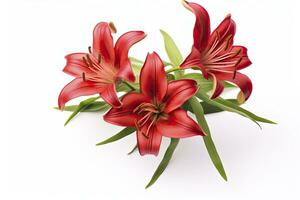 AI generated Red Lilies isolated on white background. AI Generated photo