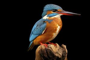 AI generated Kingfisher sitting on the tree branch. AI Generated photo