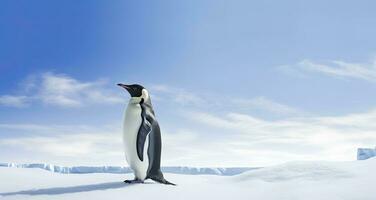 AI generated Penguin standing in Antarctica looking into the blue sky. AI Generated photo