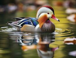 ai generado de cerca de mandarín Pato nadando en lago. generativo ai. foto