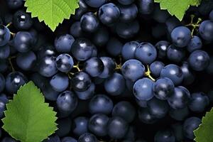 ai generado plano laico antecedentes de vides, un montón de orgánico azul oscuro uvas. ai generado foto