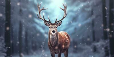 AI generated Noble deer male in the winter snow forest. Artistic winter Christmas landscape. AI Generated photo