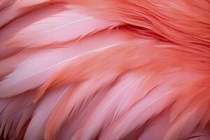 AI generated Flamingo Feather background. AI Generated photo