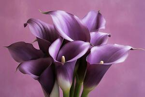 AI generated Bouquet of purple calla lilies against purple background.AI Generated photo