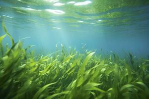 AI generated Underwater view of a group of seabed with green seagrass. AI Generated photo