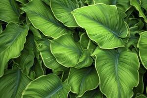 AI generated A plant with lots of large green leaves. AI Generated photo