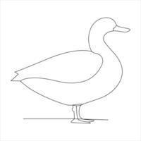 A duck Continuous single line drawing vector illustration. Continuous outline of Animal bird icon.