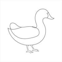 A duck Continuous single line drawing vector illustration. Continuous outline of Animal bird icon.