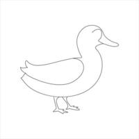 A duck Continuous single line drawing vector illustration. Continuous outline of Animal bird icon.