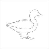 A duck Continuous single line drawing vector illustration. Continuous outline of Animal bird icon.