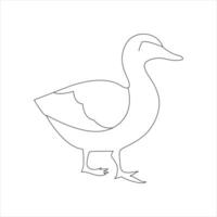 A duck Continuous single line drawing vector illustration. Continuous outline of Animal bird icon.