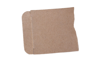 Ripped paper on transparent background. Torn paper. png