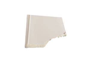 Ripped paper on transparent background. Torn paper. png