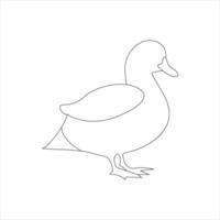 A duck Continuous single line drawing vector illustration. Continuous outline of Animal bird icon.