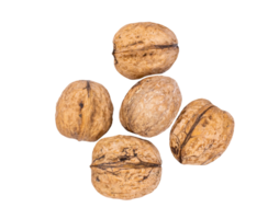 Walnuts on transparent background png